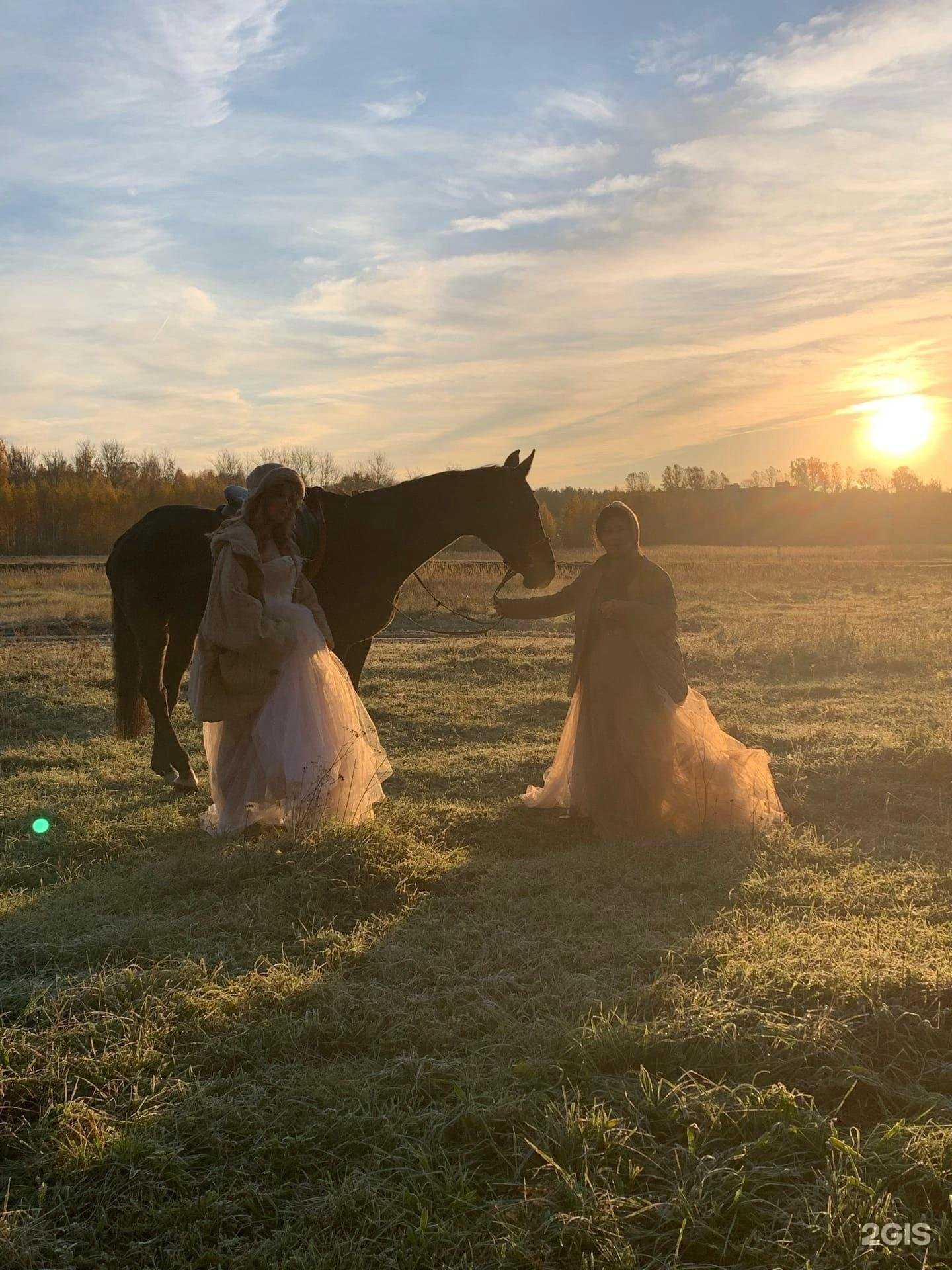 Отзывы на компанию Победа в Ярославле c фото