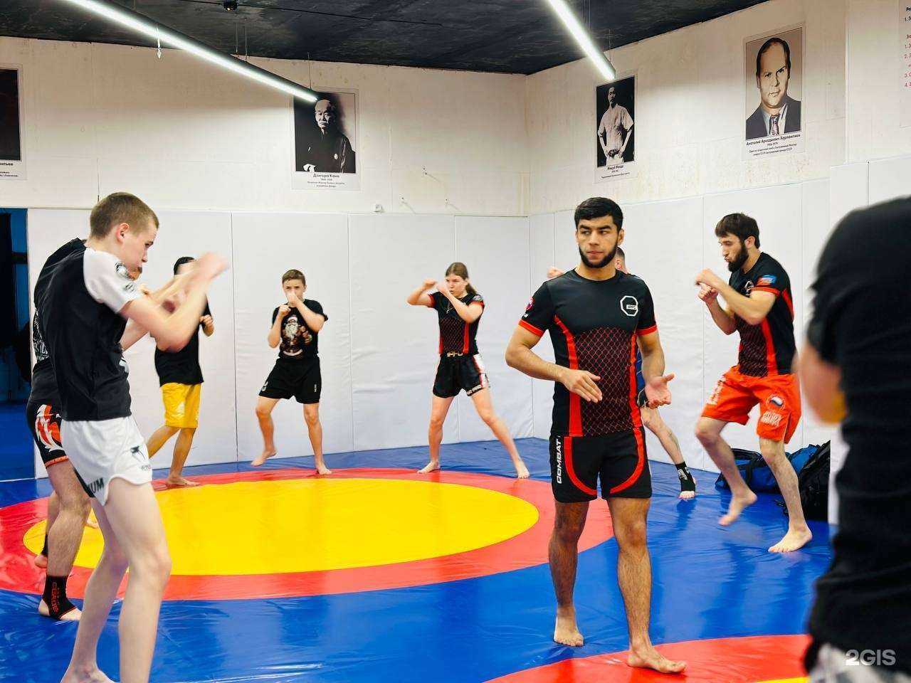 Отзывы на компанию Сила в г. Владивосток c фото