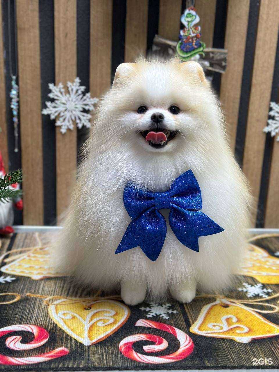 Отзывы на компанию GROOM в Первоуральске c фото