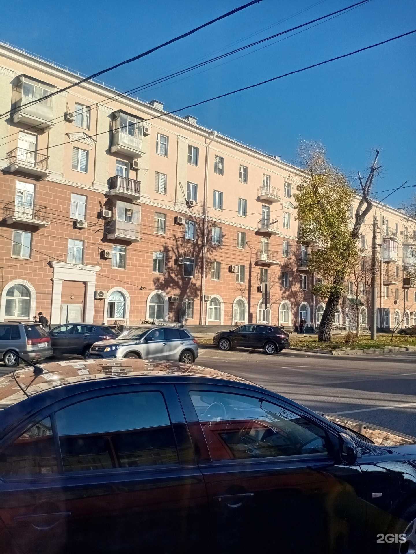 Отзывы на компанию Лев в Воронеже c фото - фотография 2 из 2