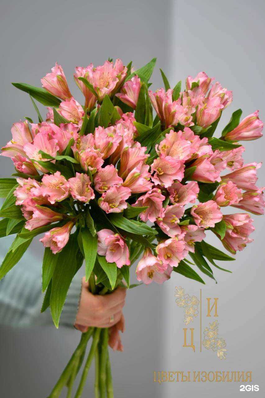 Отзывы на компанию Цветы изобилия в г. Красноярск c фото