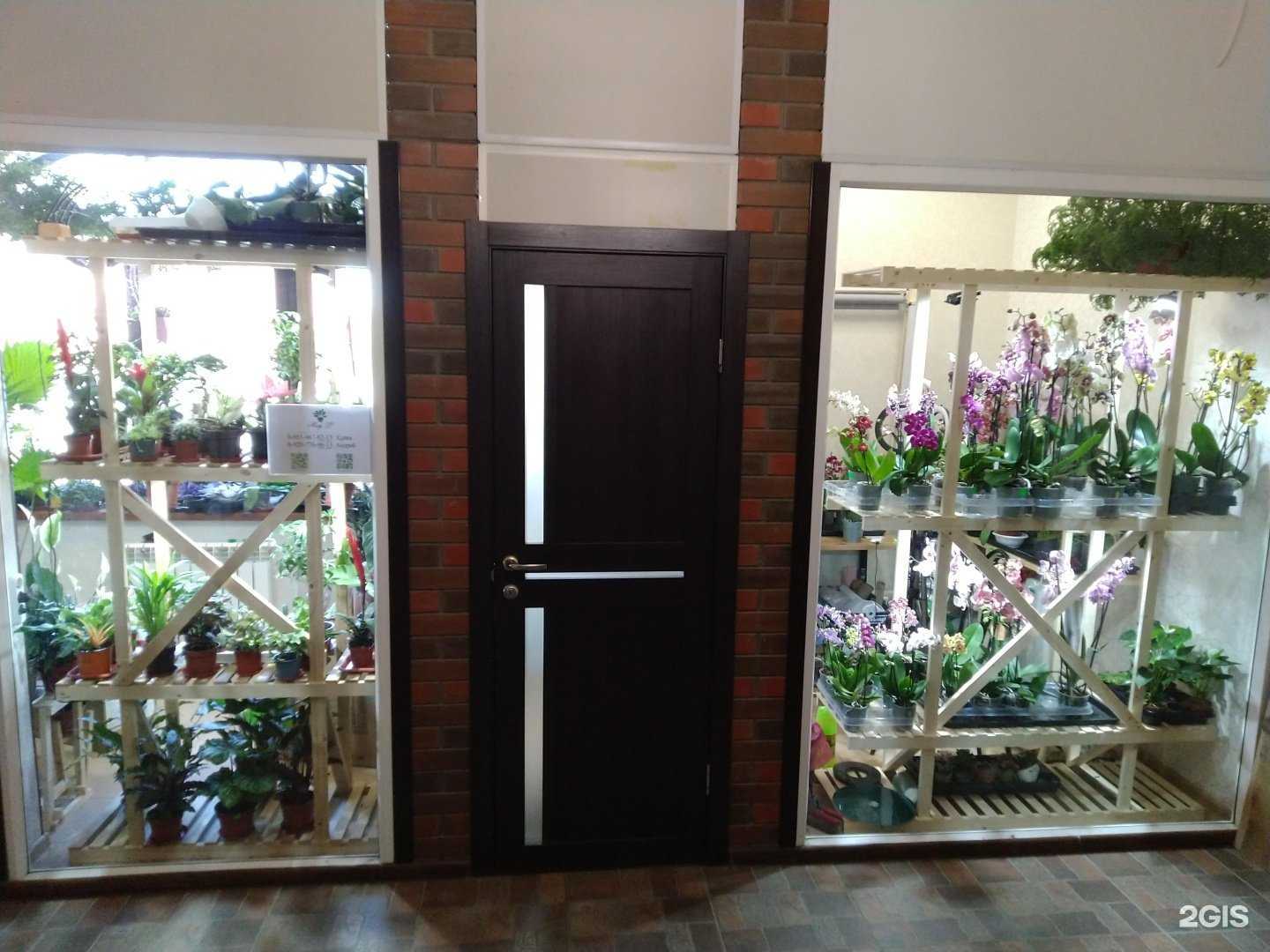 Отзывы на компанию Mary L в Туле c фото