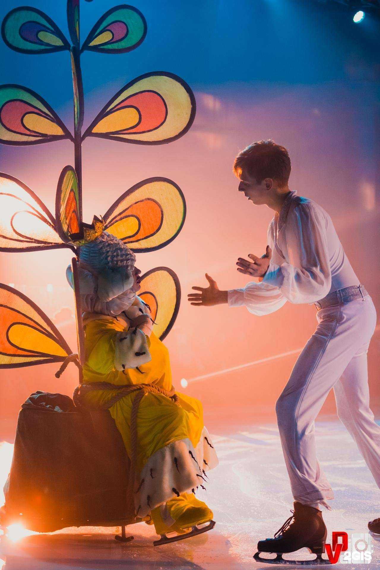 Отзывы на компанию Interfest в Петрозаводске c фото