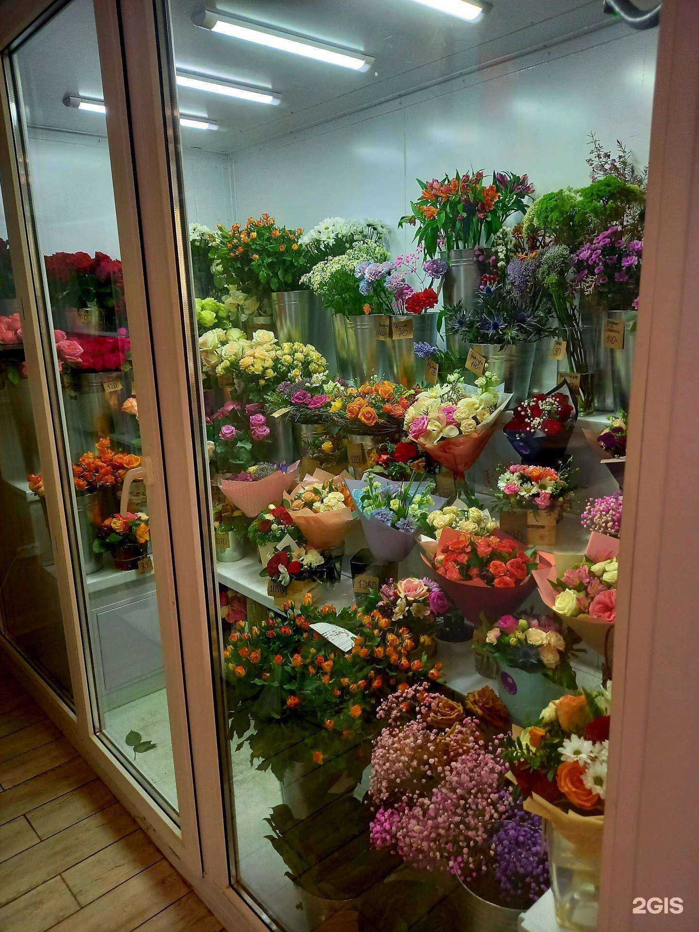 Отзывы на компанию Edelweiss в г. Псков c фото