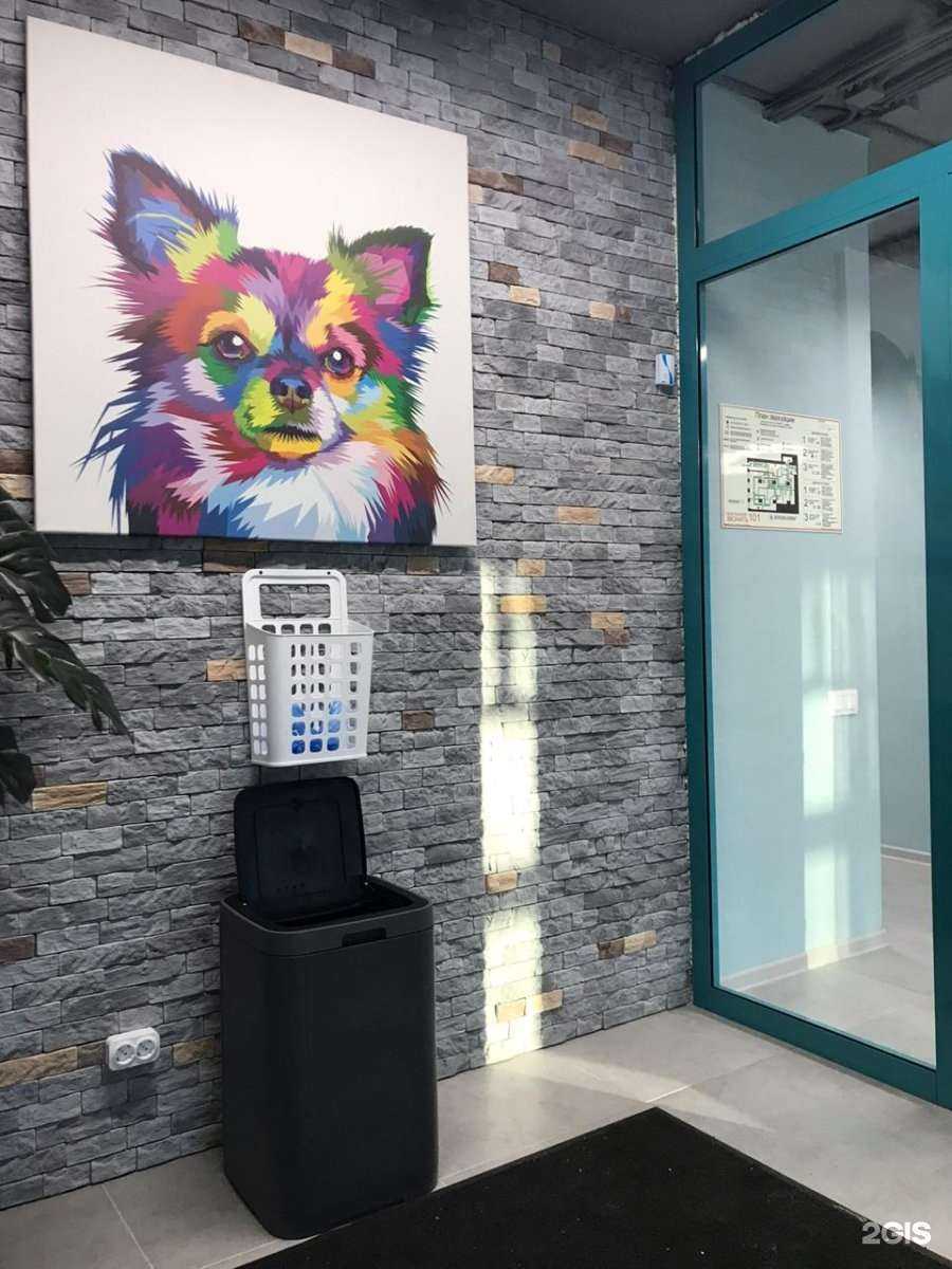 Отзывы на компанию ИНВЕТА в г. Екатеринбург c фото