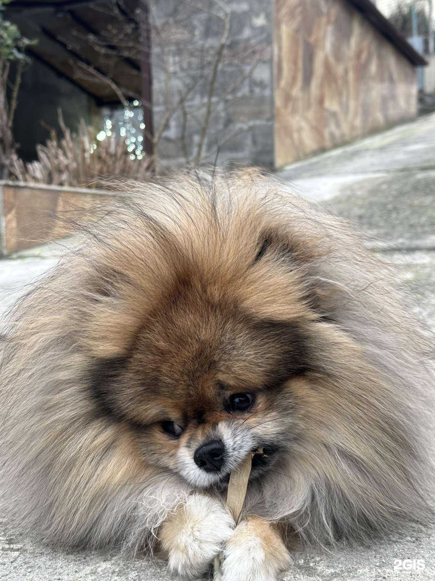 Отзывы на компанию Балу в г. Сочи c фото