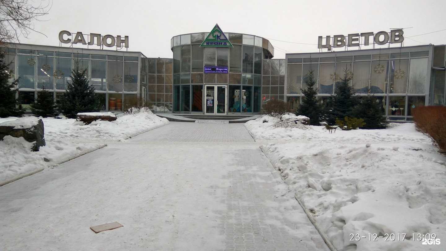 Отзывы на компанию #Школа в Красноярске c фото - фотография 2 из 2