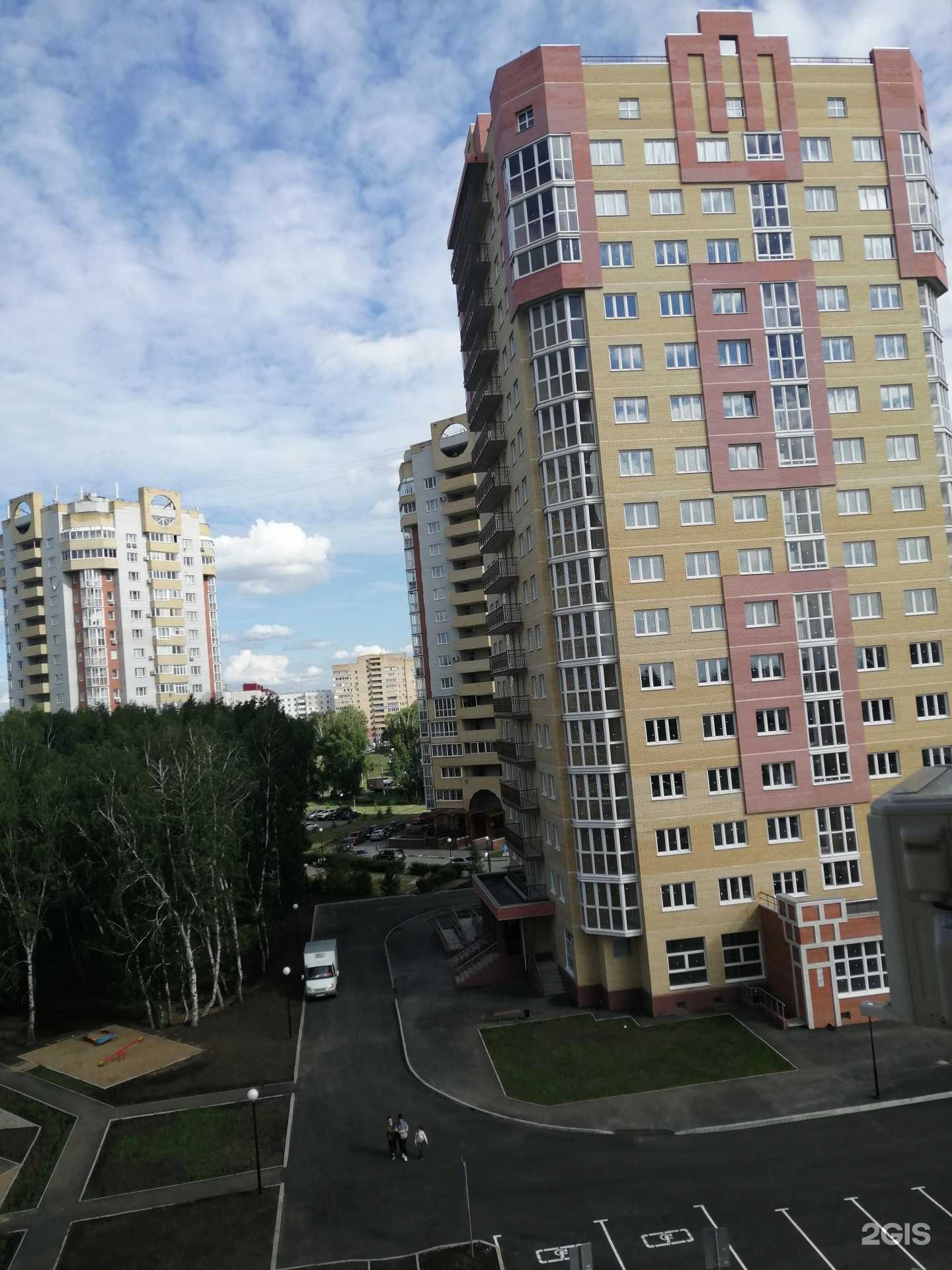 Отзывы на компанию ЛапУсики в Омске c фото - фотография 2 из 2