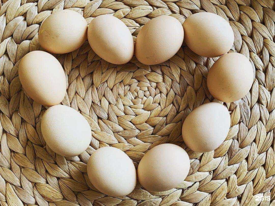 Отзывы на компанию Морозко в Мелеузе c фото