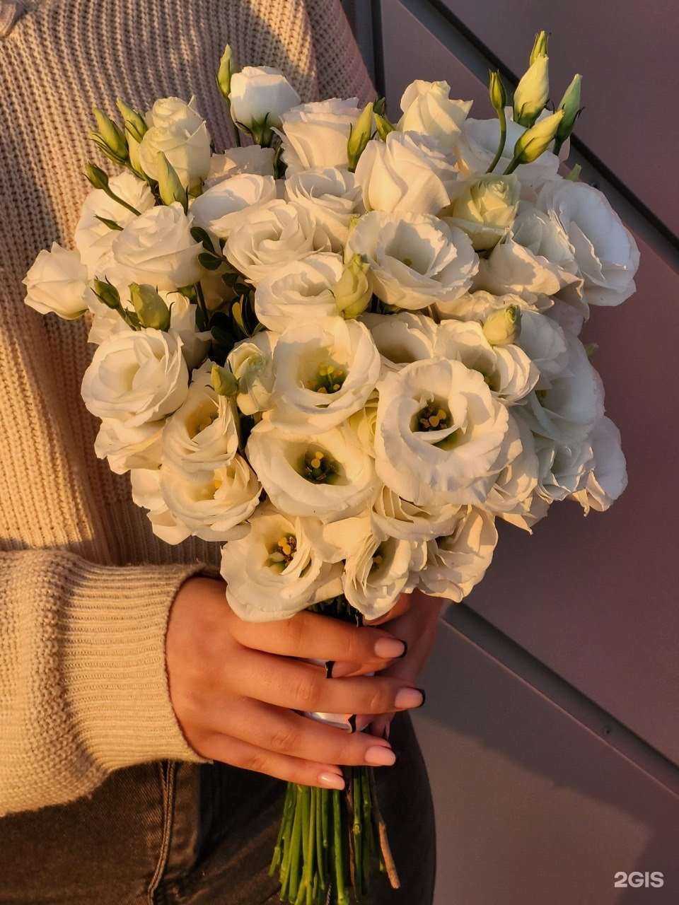 Отзывы на компанию Энергия цветов в г. Липецк c фото