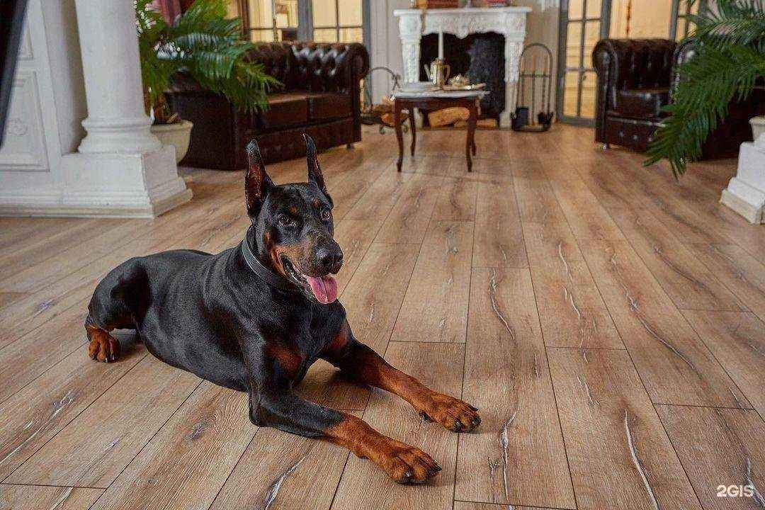 Отзывы на компанию Квадратный метр в Липецке c фото