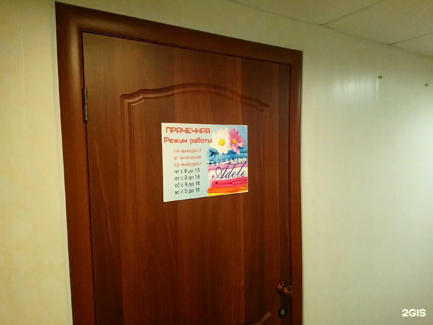 Отзывы на компанию Adele в г. Архангельск c фото