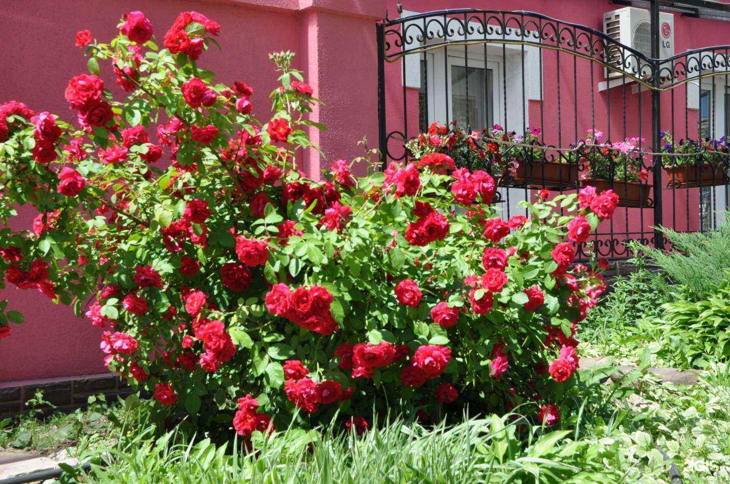 Отзывы на компанию Уют в Воронеже c фото