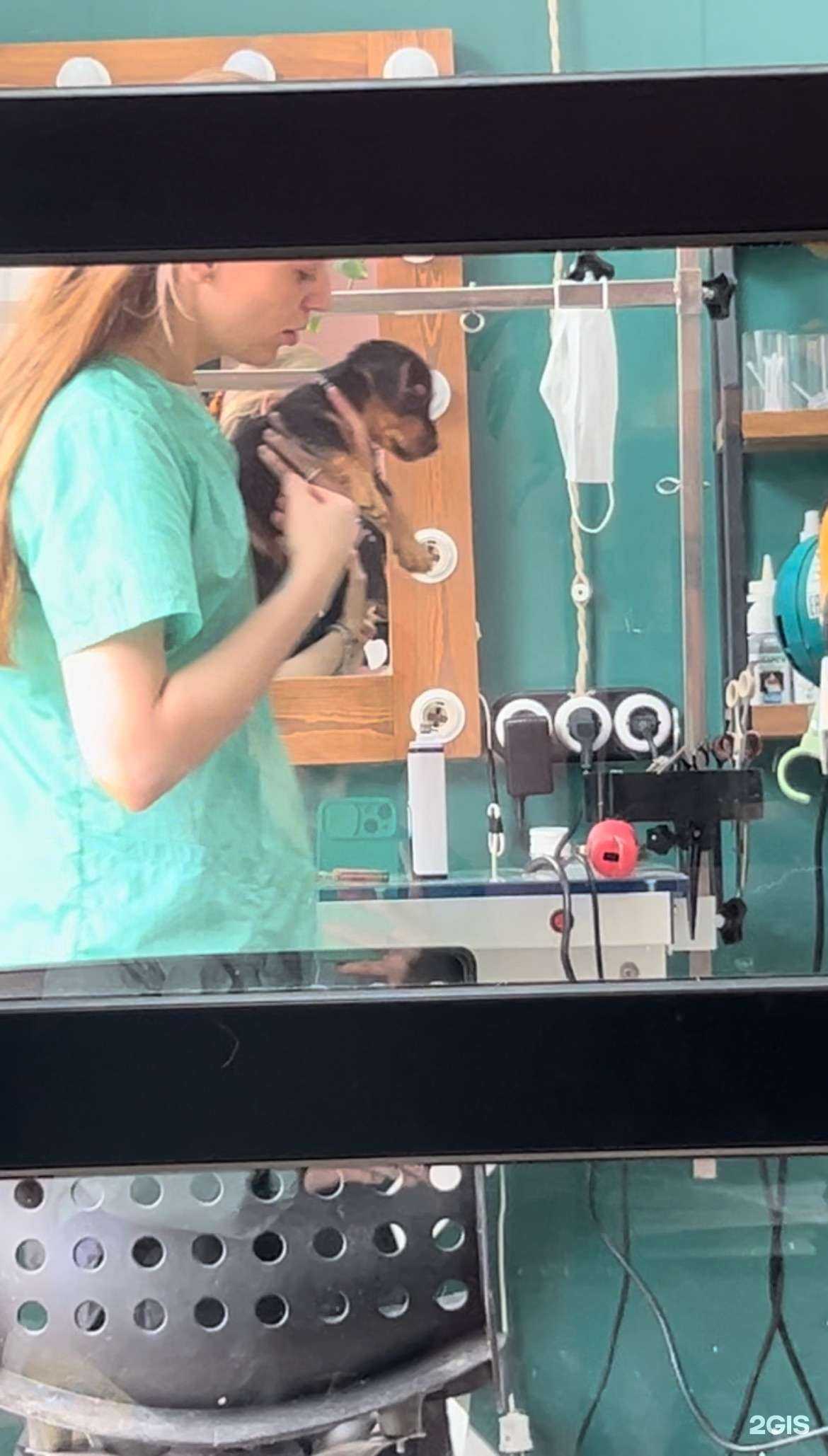 Отзывы на компанию Wanna Grooming? в Щёлкове c фото