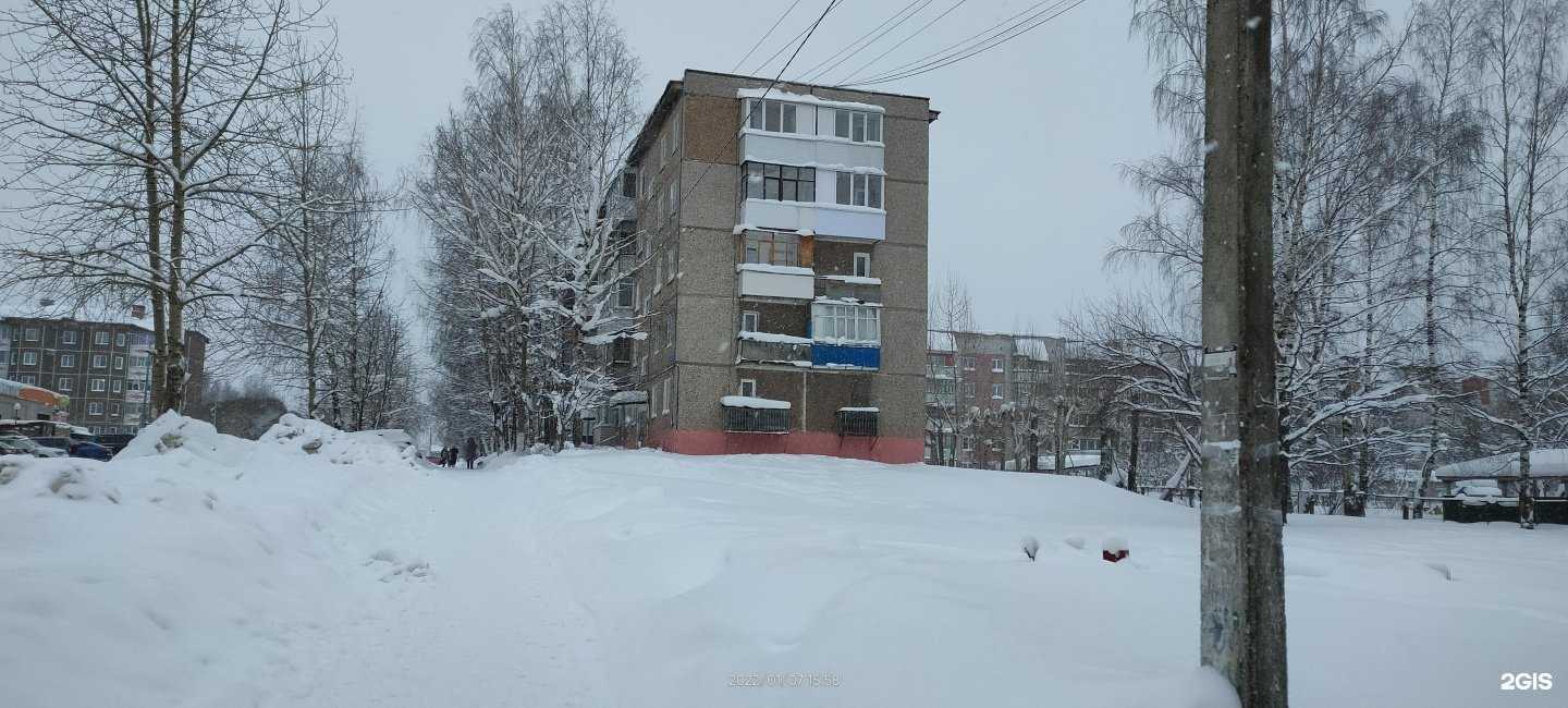 Отзывы на компанию Мой зверь в г. Соликамск c фото