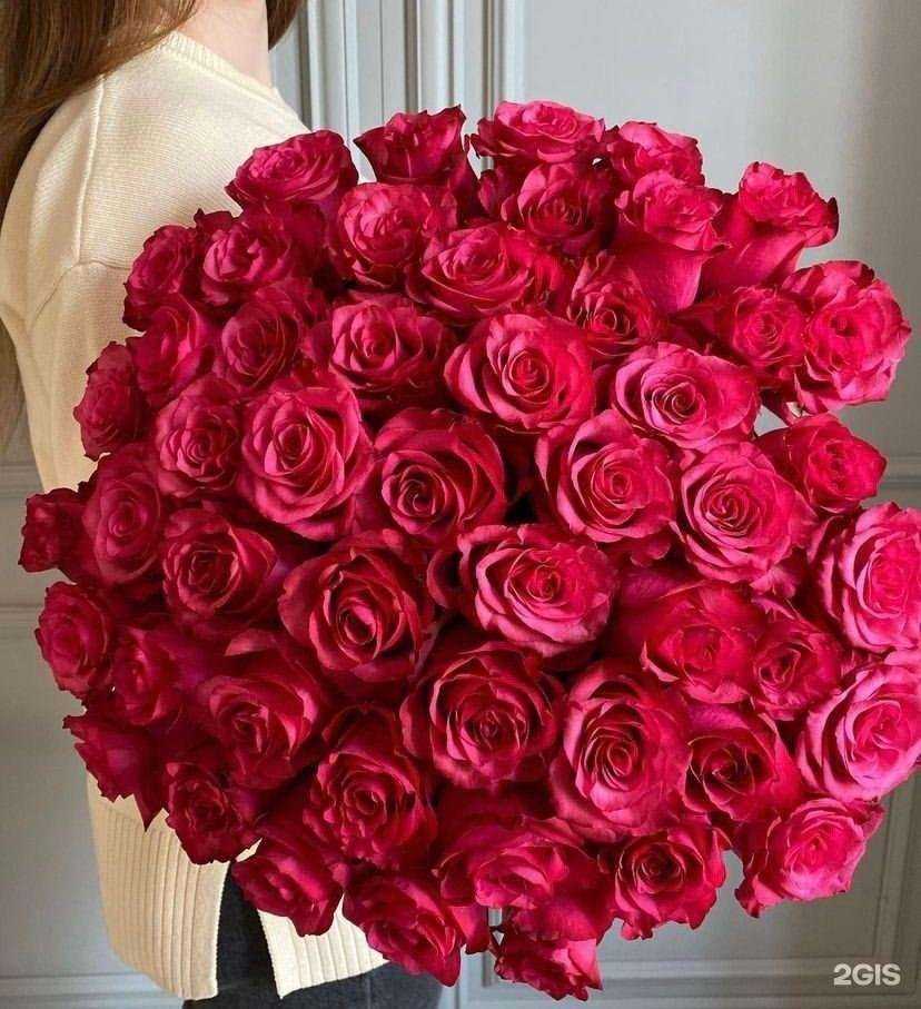 Отзывы на компанию Розетта в Кемерове c фото