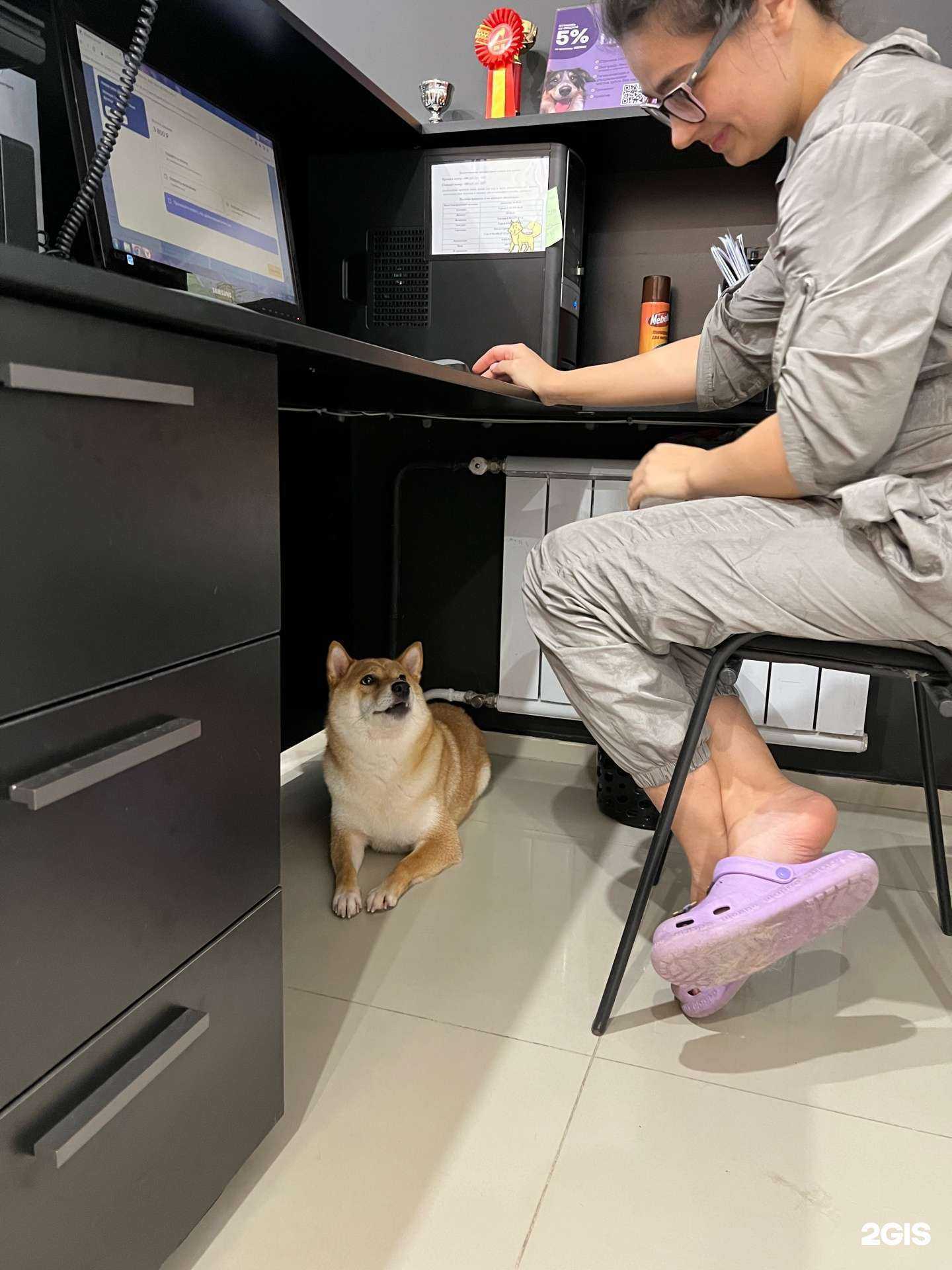 Отзывы на компанию Lapkin`s в г. Иркутск c фото