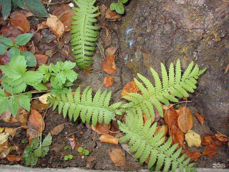 Отзывы на компанию Издательский Дом-Юг в г. Краснодар c фото