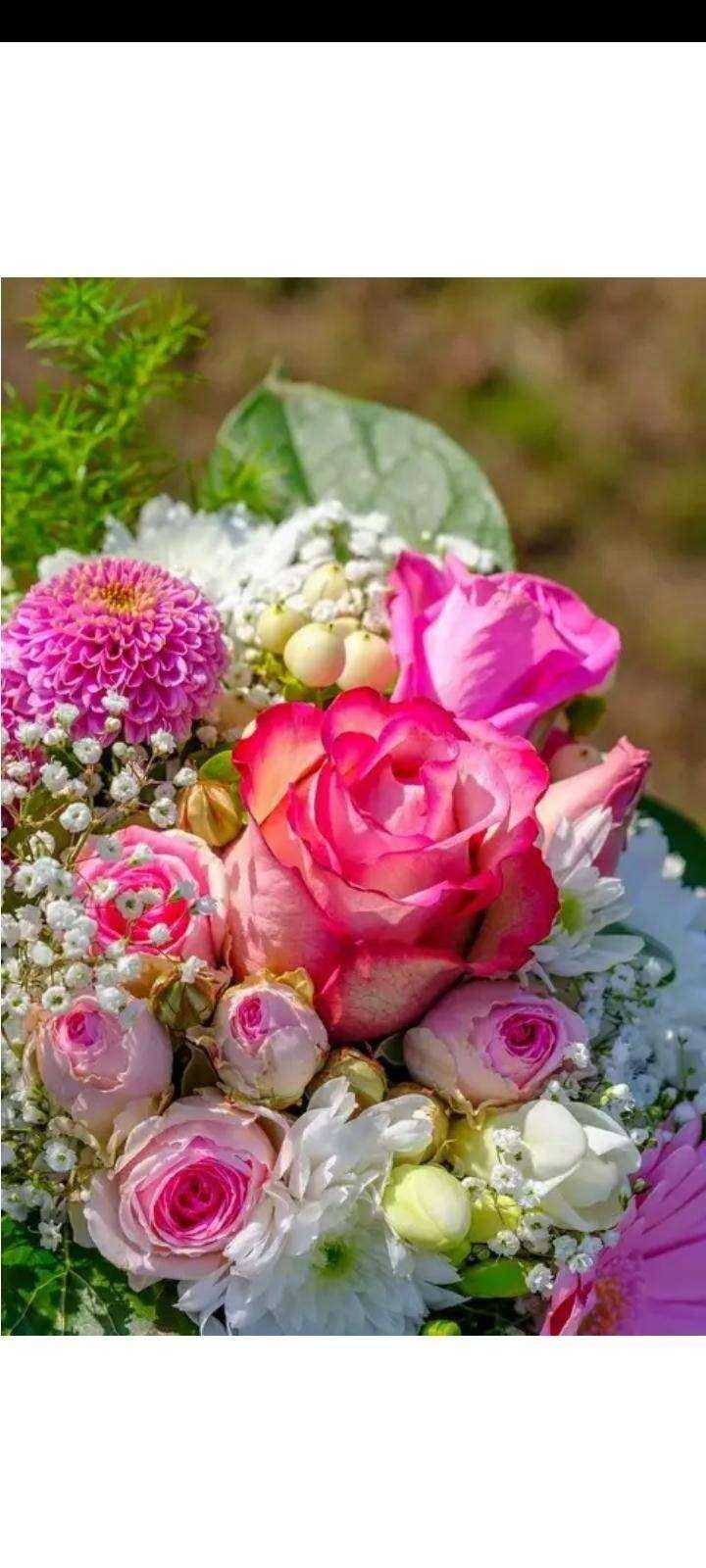 Отзывы на компанию Магазин автотоваров в г. Новокузнецк c фото