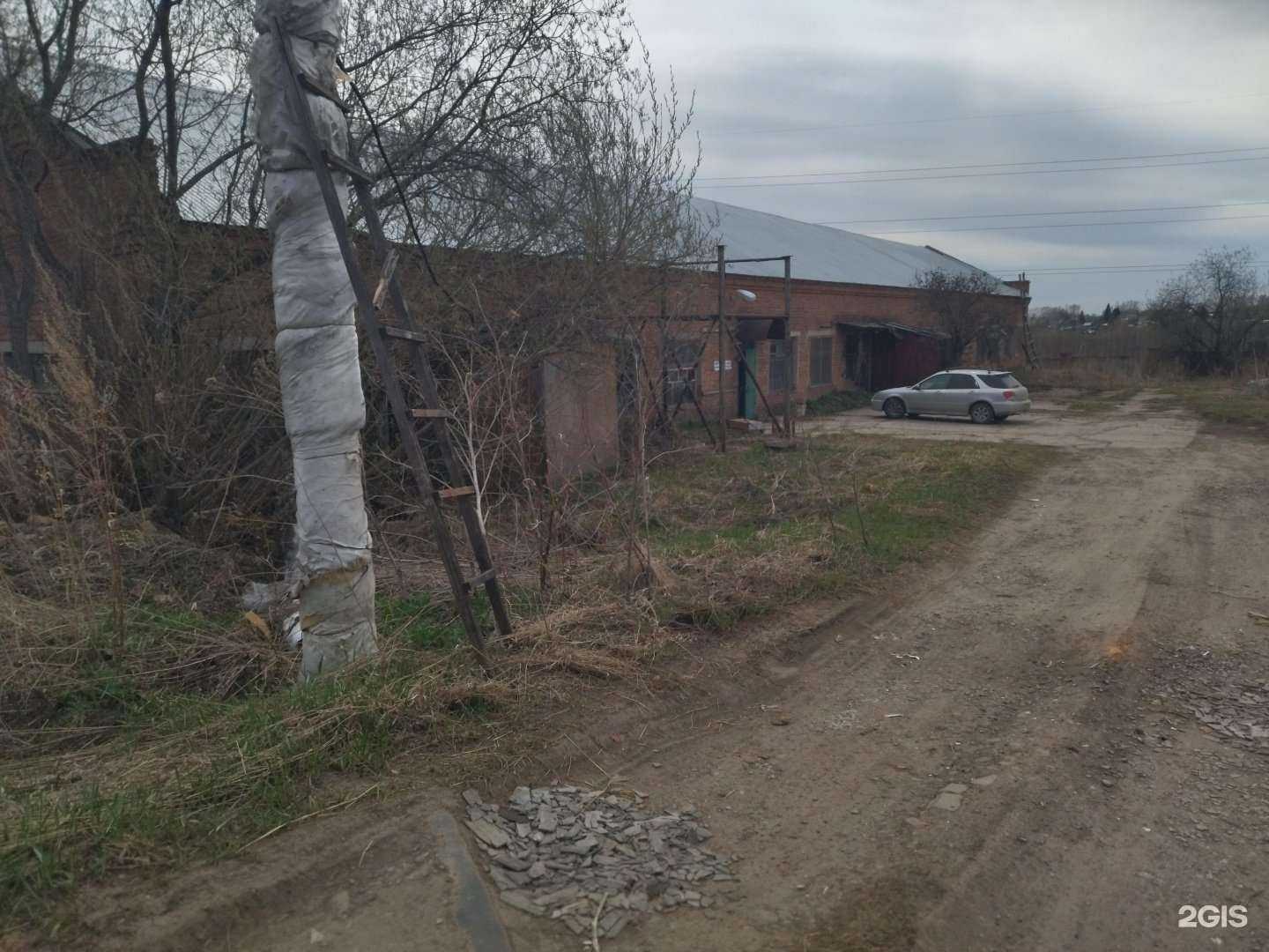 Отзывы на компанию Лягуш в Томске c фото - фотография 2 из 2