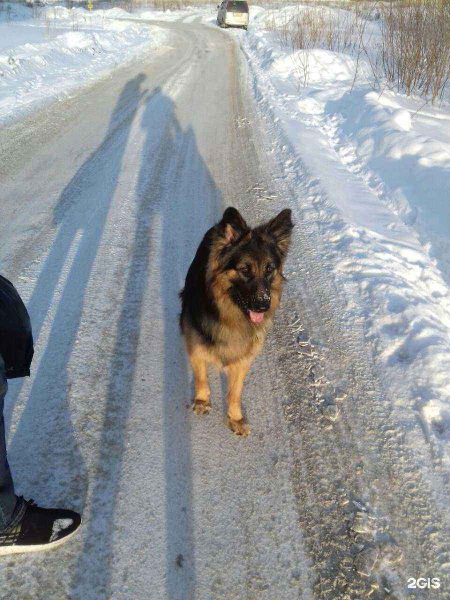 Отзывы на компанию Красный кролик в Новосибирске c фото