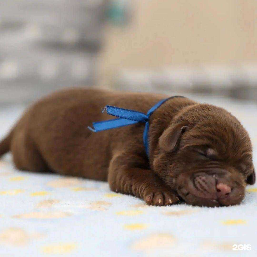 Отзывы на компанию Бюро банковской безопасности в Казани c фото