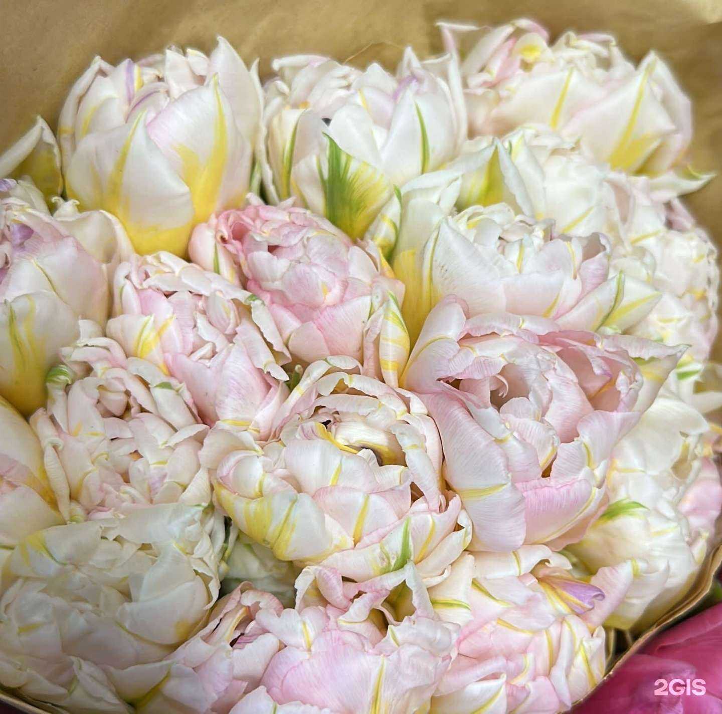 Отзывы на компанию Ninel Flowers в Петрозаводске c фото