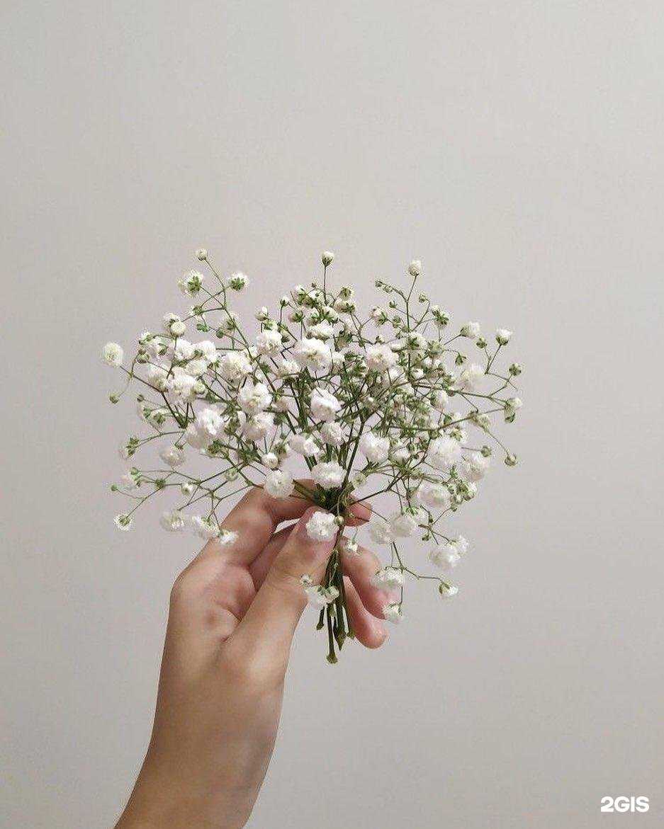 Отзывы на компанию Beauty Studio в Армавире c фото