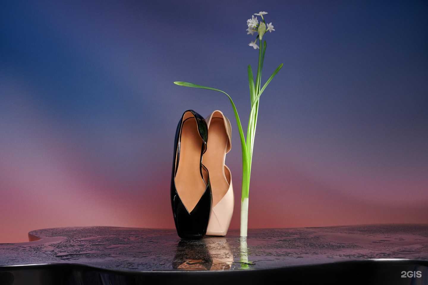 Отзывы на компанию Mascotte в Кирове c фото