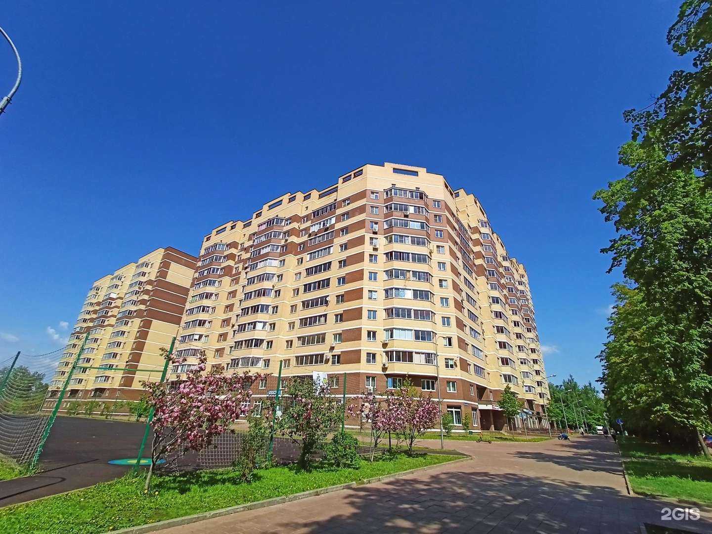 Отзывы на компанию Gng в Пушкине c фото - фотография 2 из 2