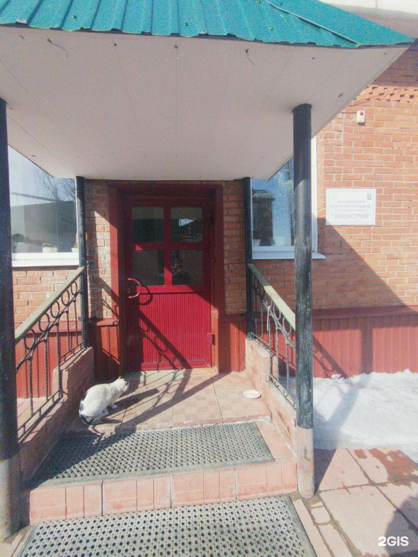 Отзывы на компанию Зеленстрой в Тольятти c фото