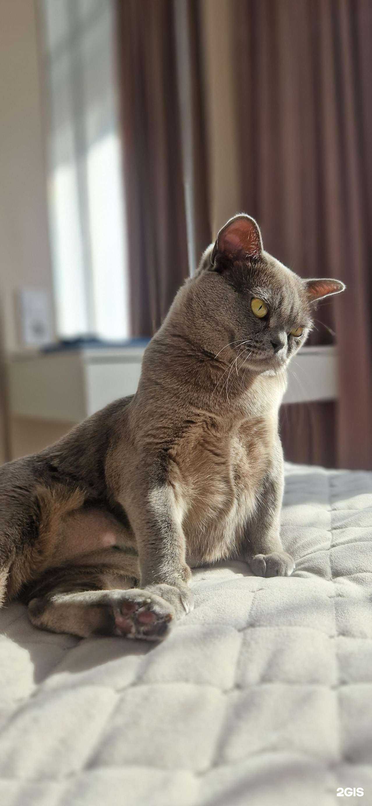 Отзывы на компанию Д.А.Р. в Владивостоке c фото