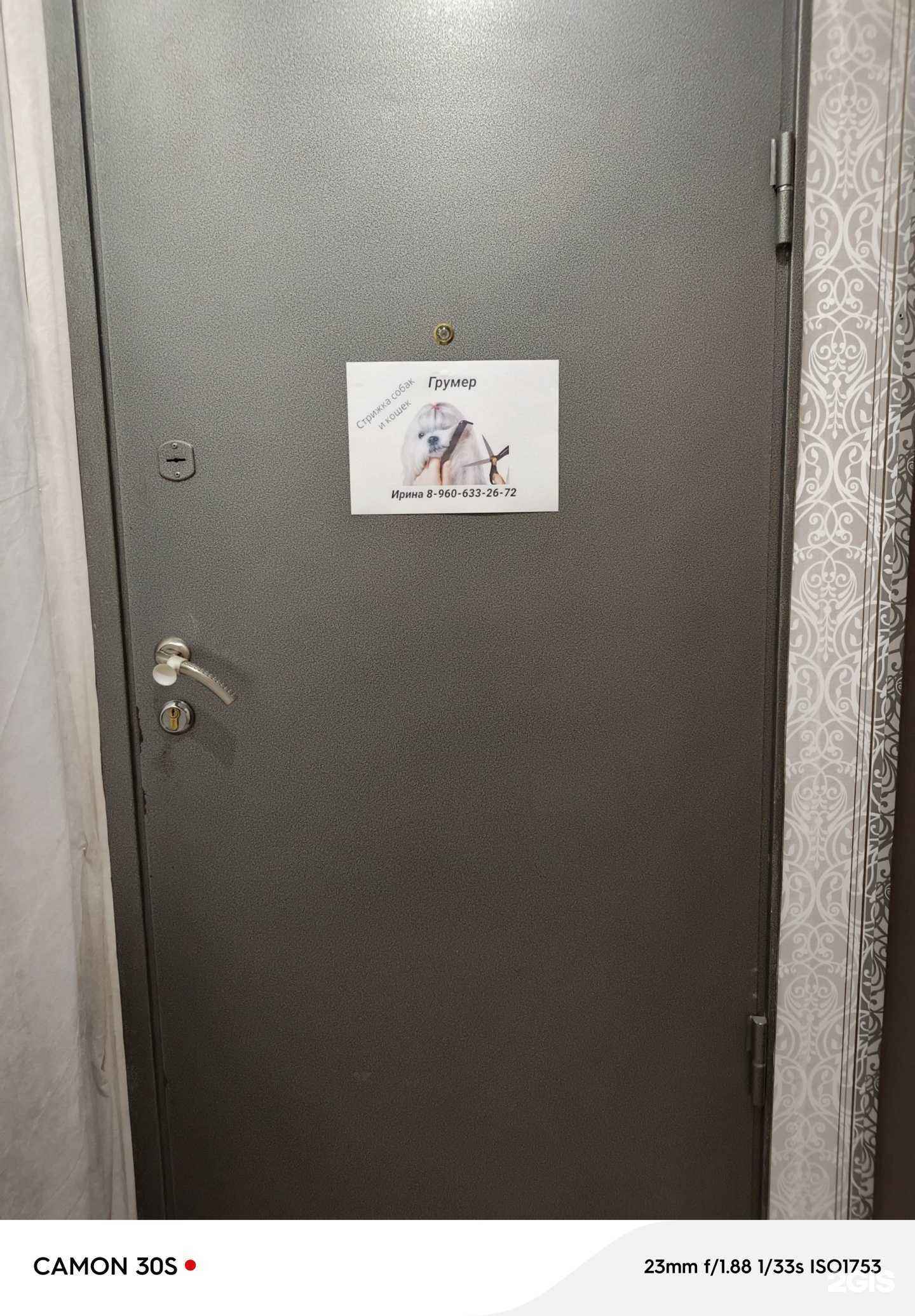 Отзывы на компанию Груминг салон в Алексеевке c фото