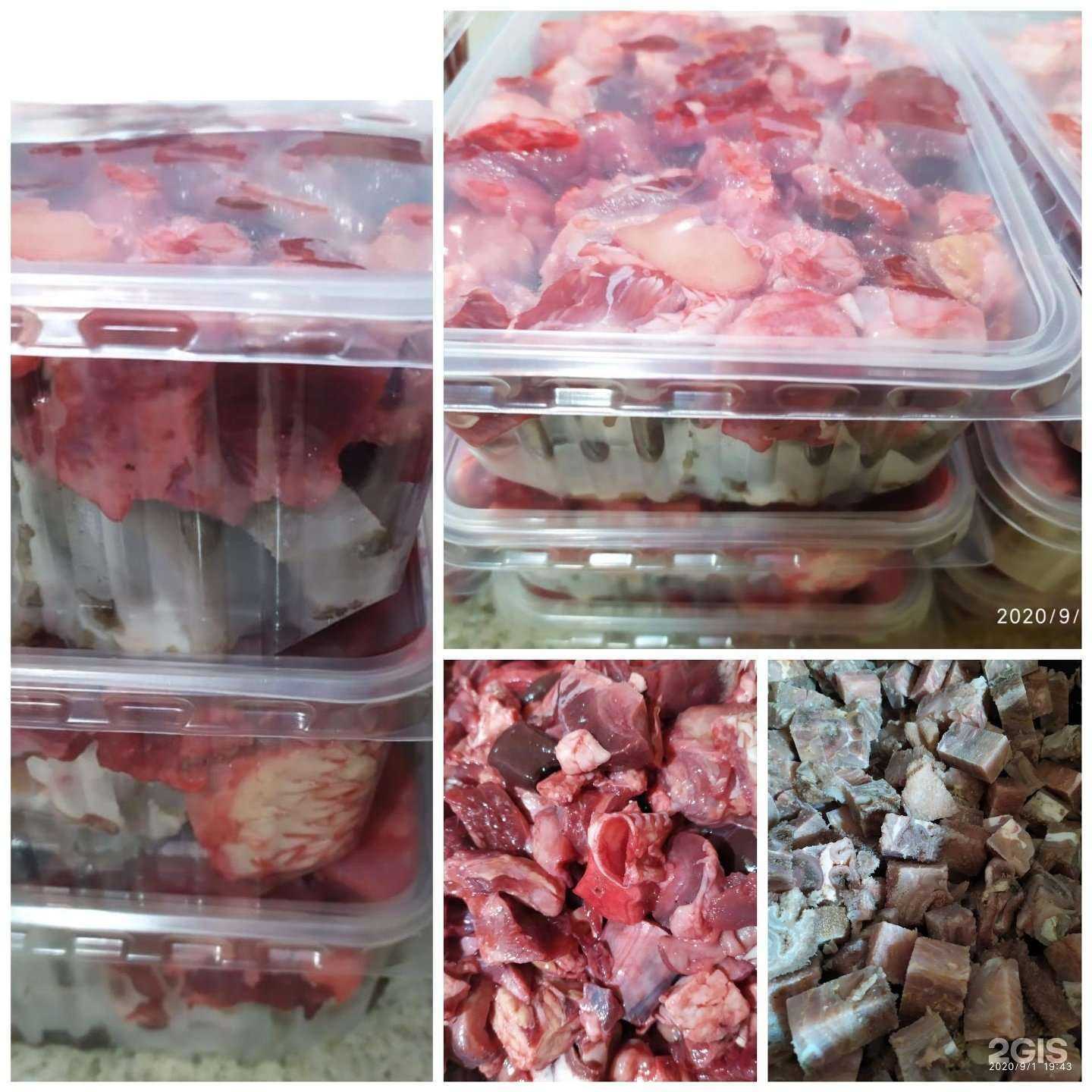 Отзывы на компанию Собачья радость в Ставрополе c фото