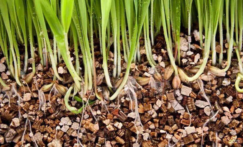 Отзывы на компанию Основа в Новосибирске c фото