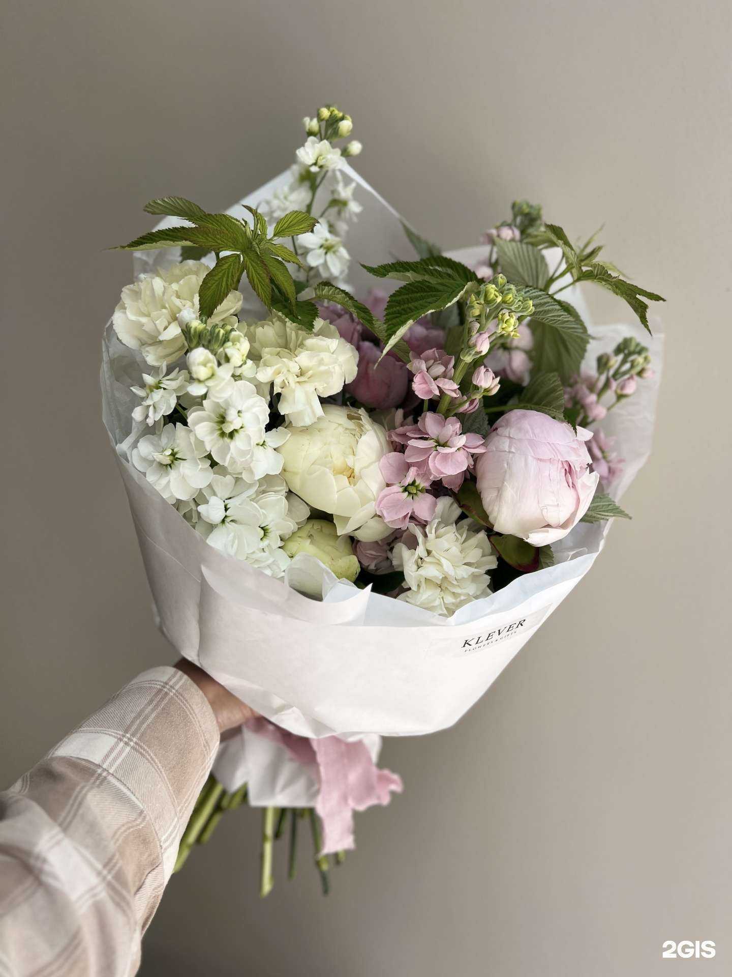 Отзывы на компанию Клевер в Сочи c фото