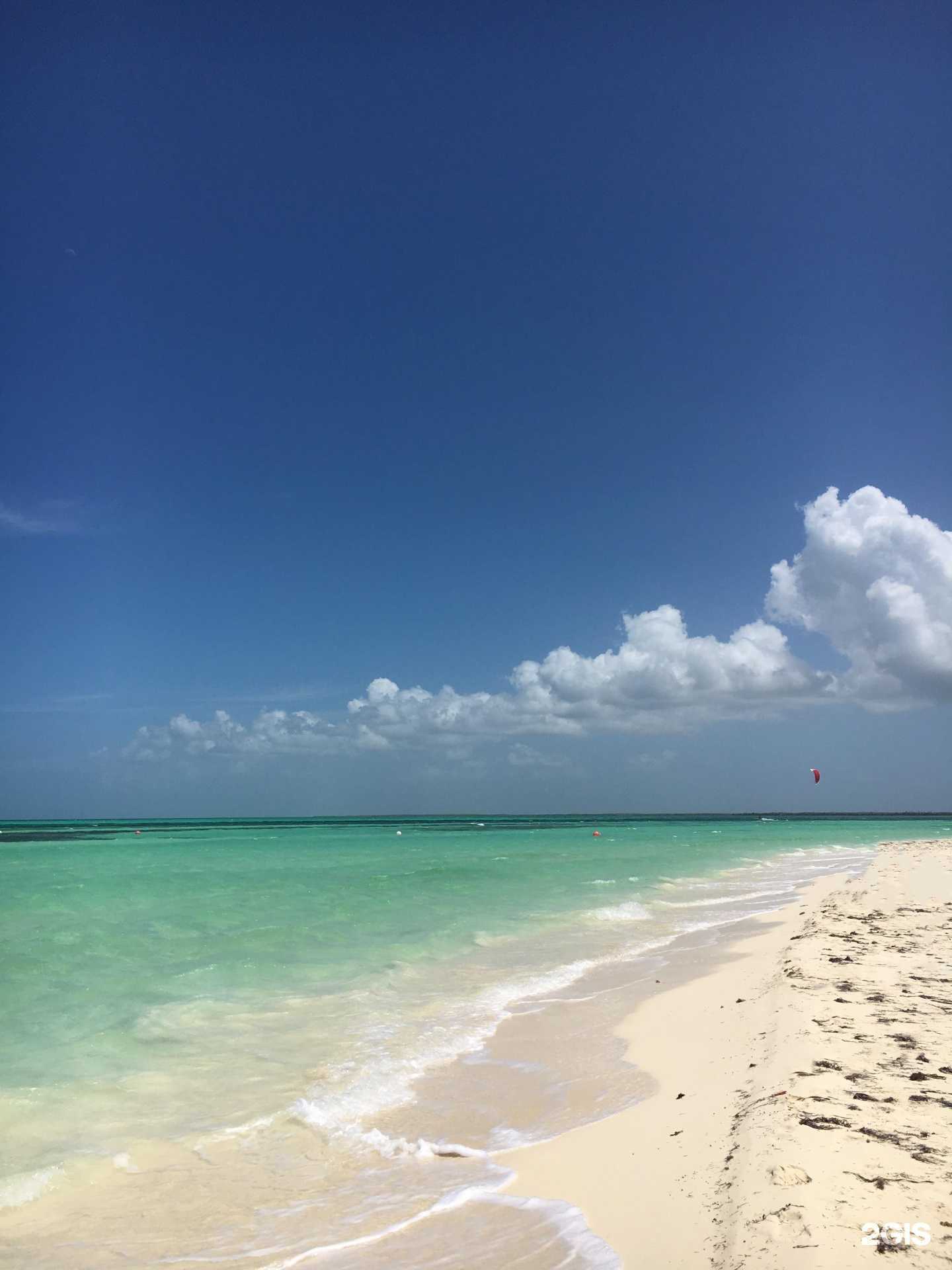 Отзывы на компанию Mango в Красноярске c фото