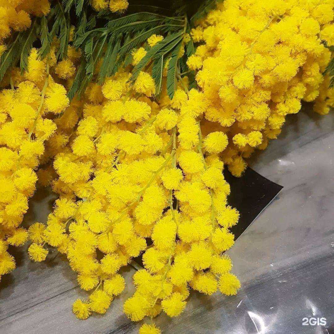 Отзывы на компанию El garden в Брянске c фото