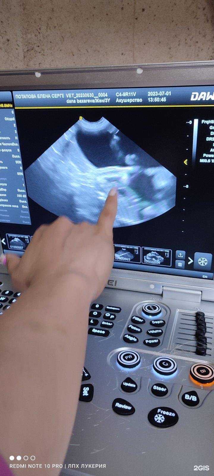 Отзывы на компанию Белый кот и серый дог в Сургуте c фото