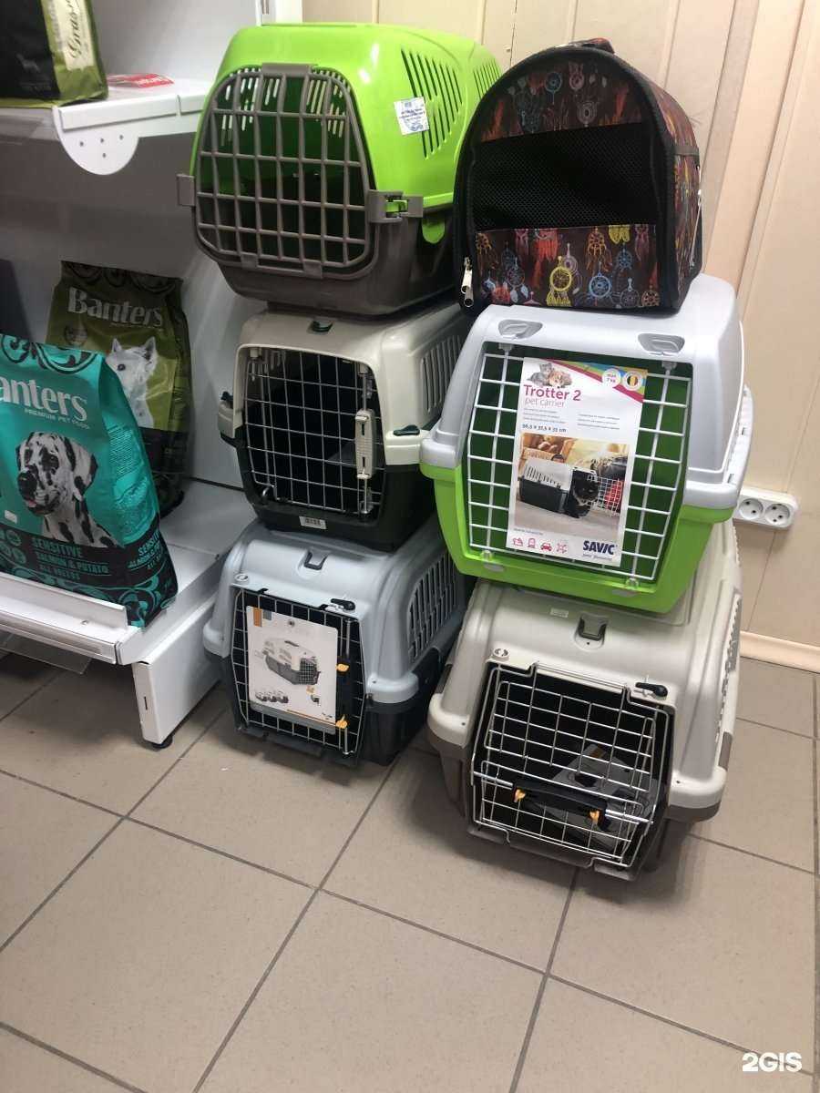 Отзывы на компанию Petandme.ru в Ростове-на-Дону c фото