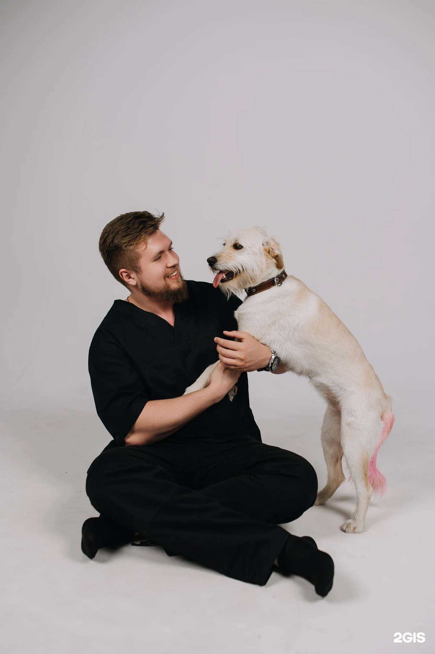 Отзывы на компанию Добровет в г. Тамбов c фото