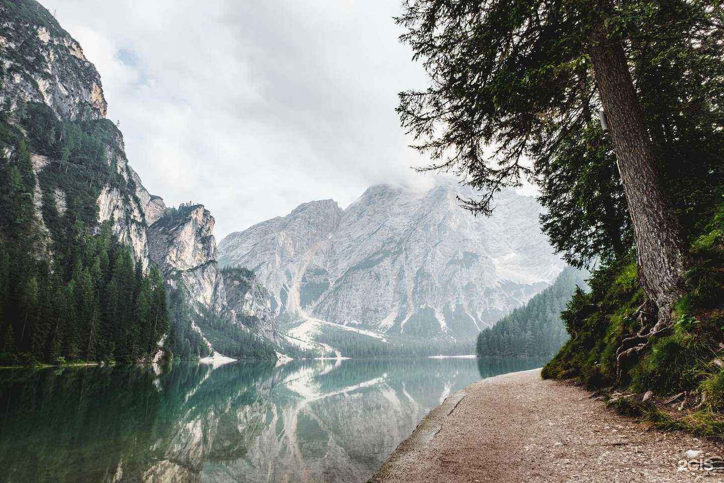 Отзывы на компанию Practice Farm в Барнауле c фото