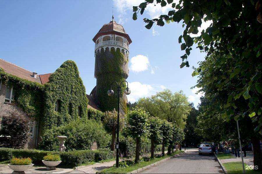 Отзывы на компанию КНГ Строитель в Светлогорске c фото