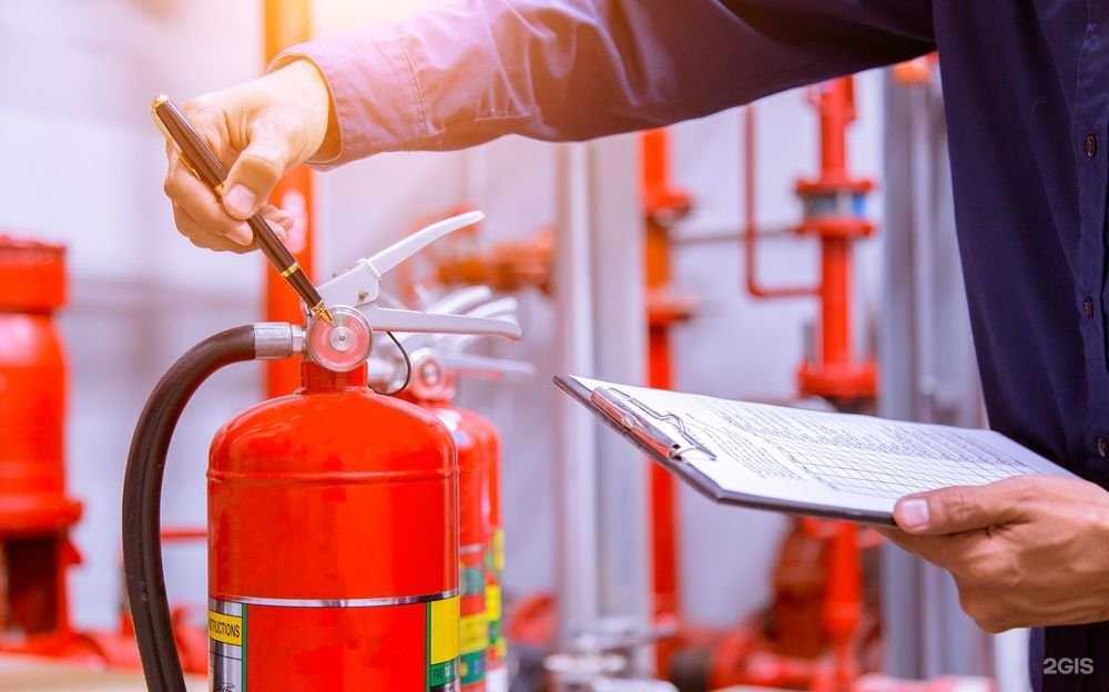 Отзывы на компанию Лама в Астрахани c фото