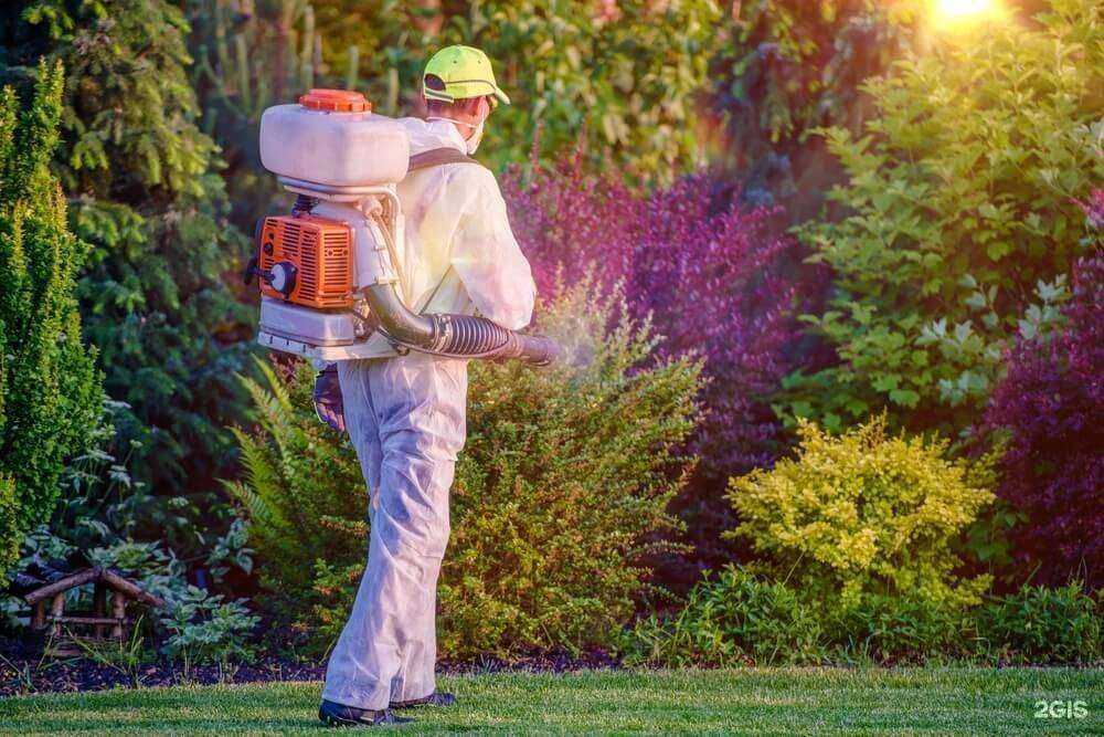 Отзывы на компанию Санитарно-эпидемиологическая служба в г. Челябинск c фото
