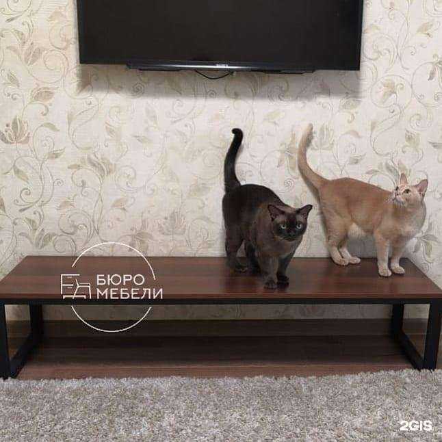 Отзывы на компанию Бюро Мебели в Абакане c фото