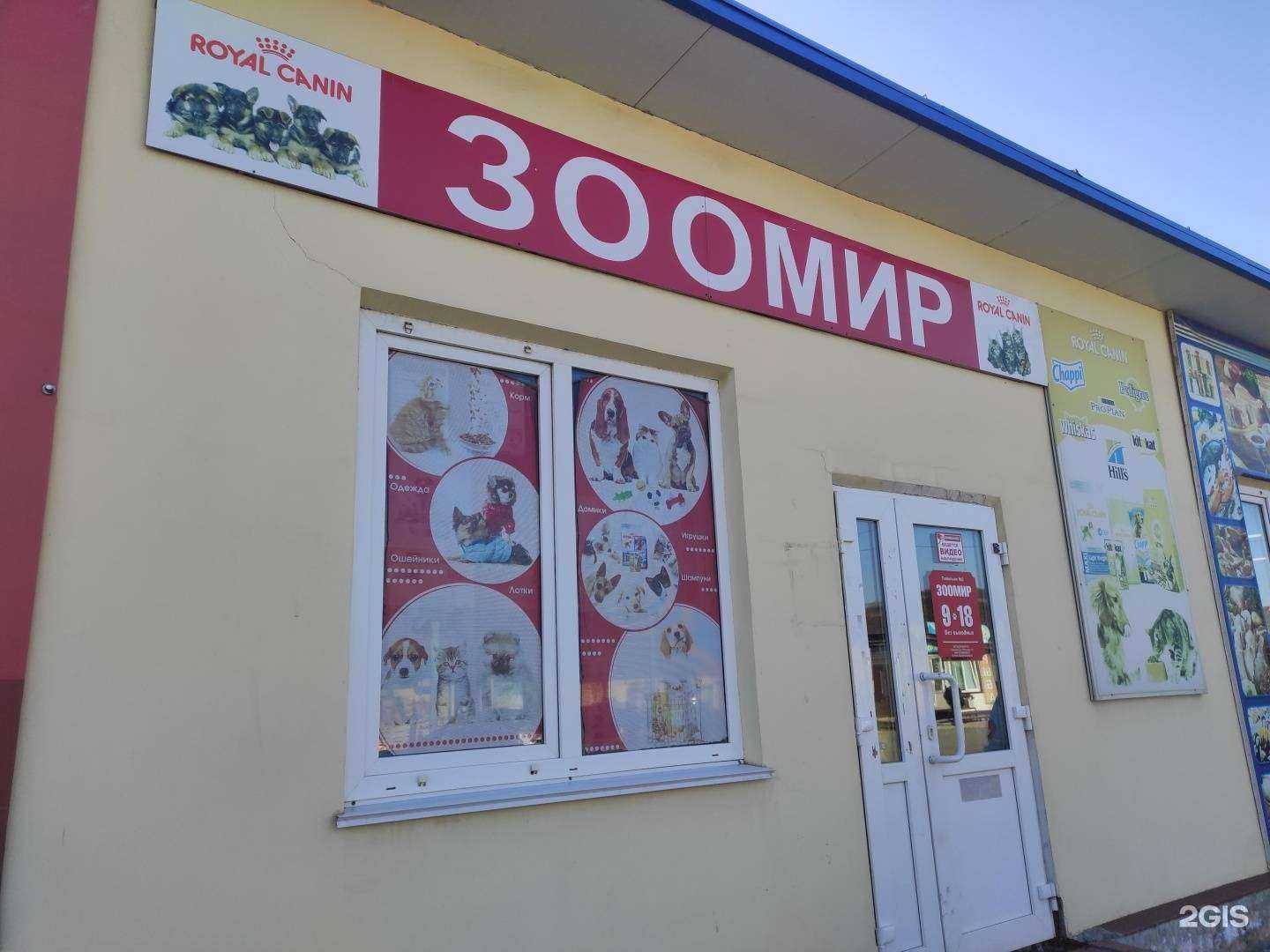 Отзывы на компанию Зоомир в г. Находка c фото