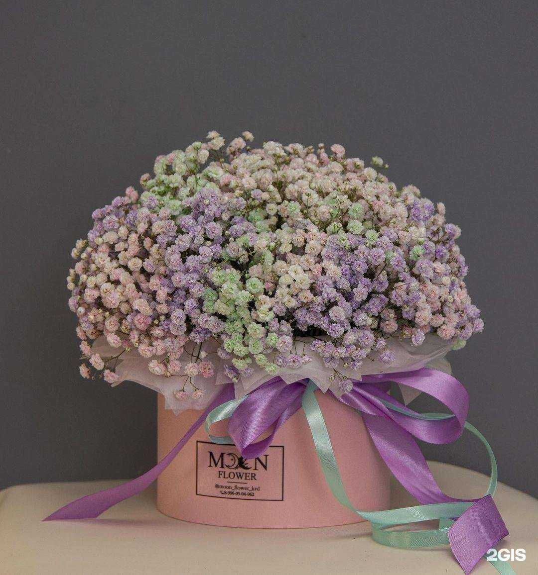 Отзывы на компанию Moon flower в г. Краснодар c фото