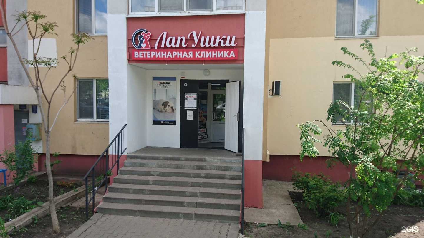 Отзывы на компанию ЛапУшки в Белгороде c фото