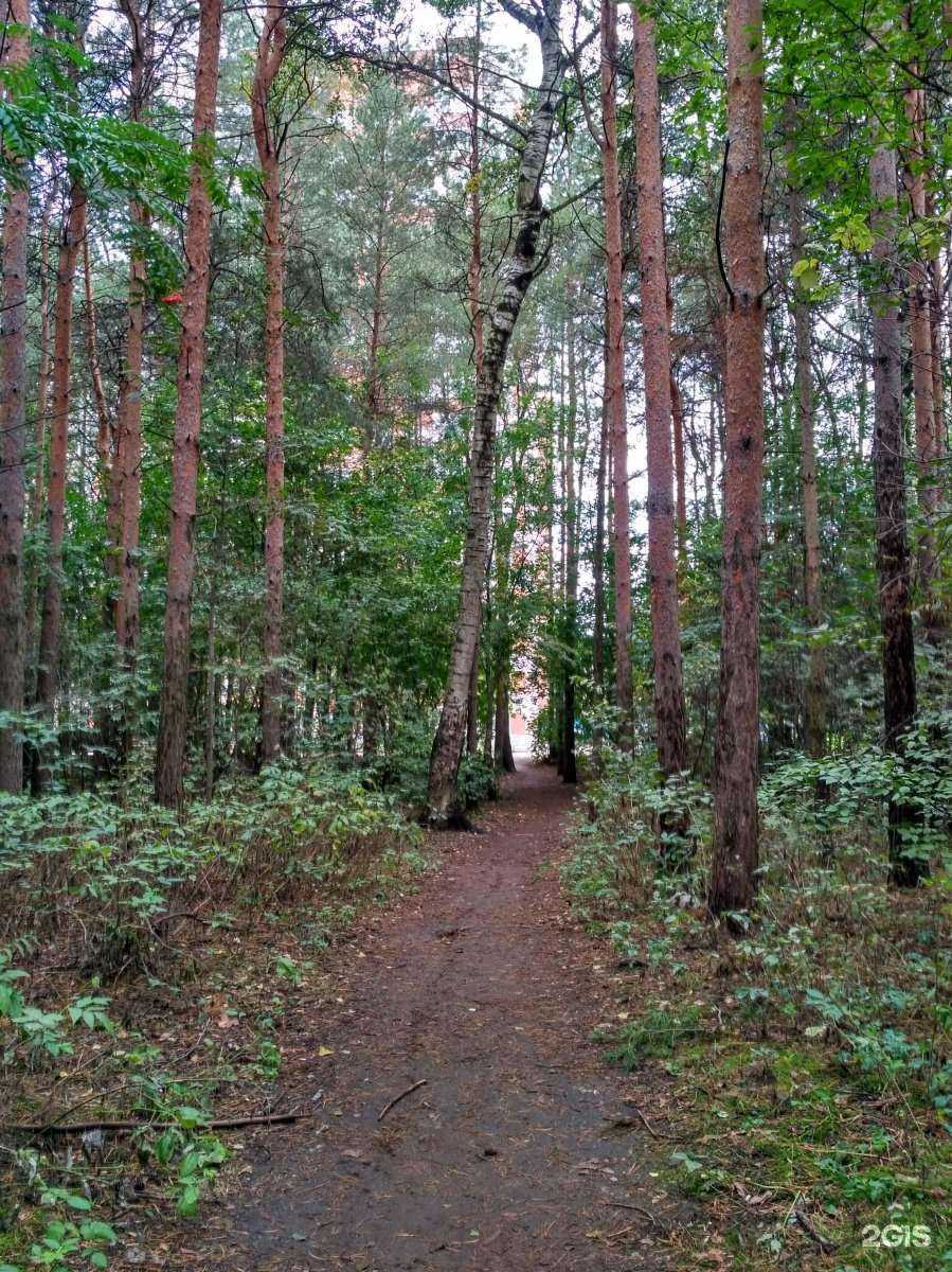 Отзывы на компанию Kanna в Перми c фото - фотография 2 из 2